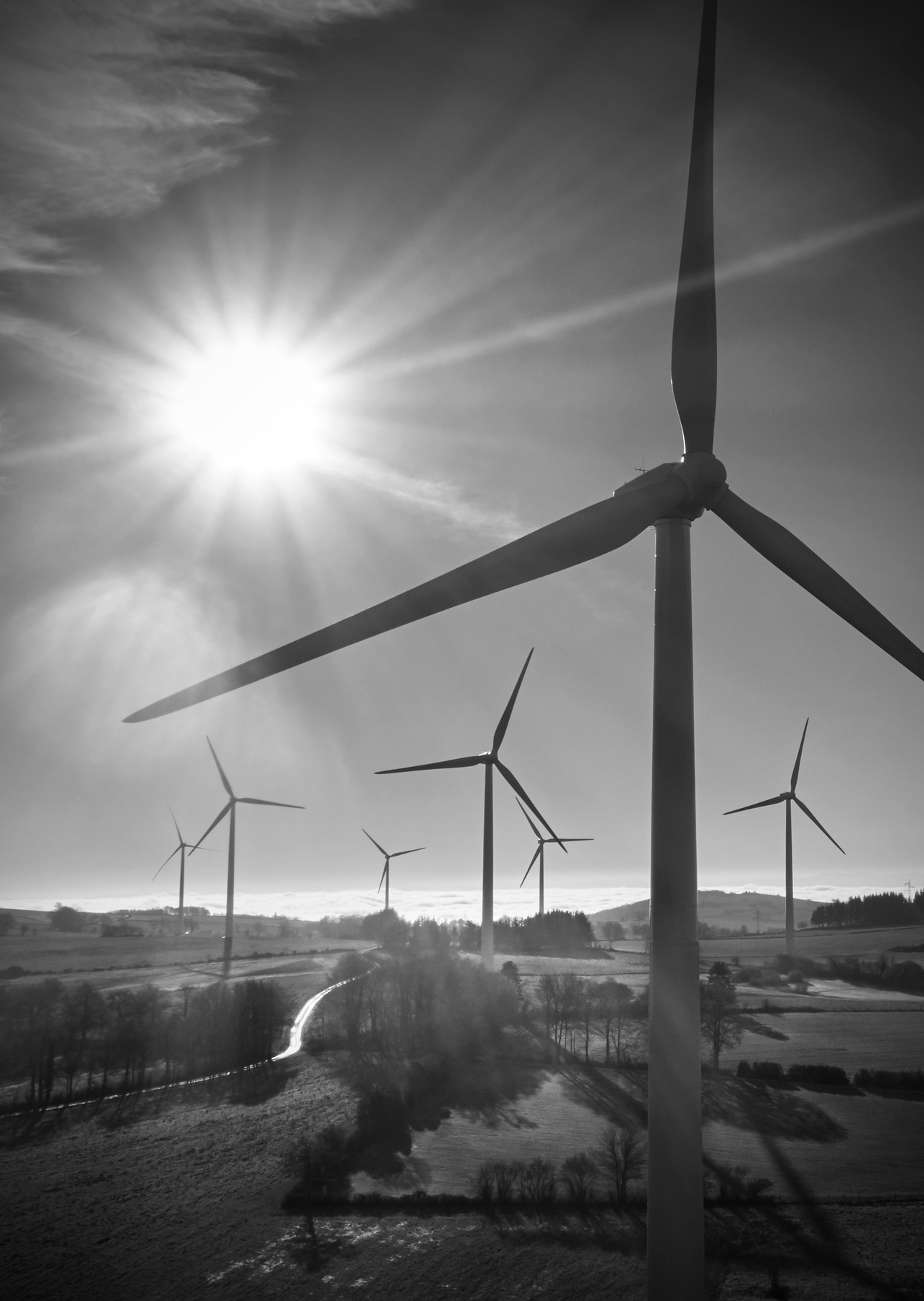 René-Pierre Delorme, photographe - 