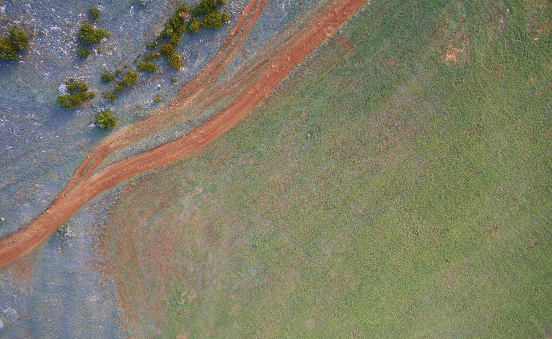 René-Pierre Delorme, photographe - 