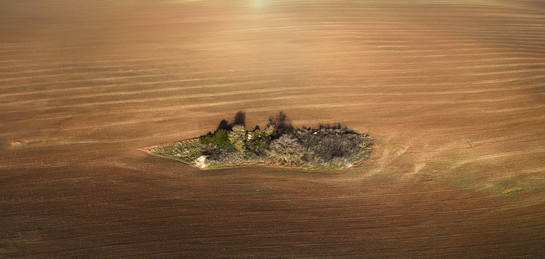 René-Pierre Delorme, photographe - 