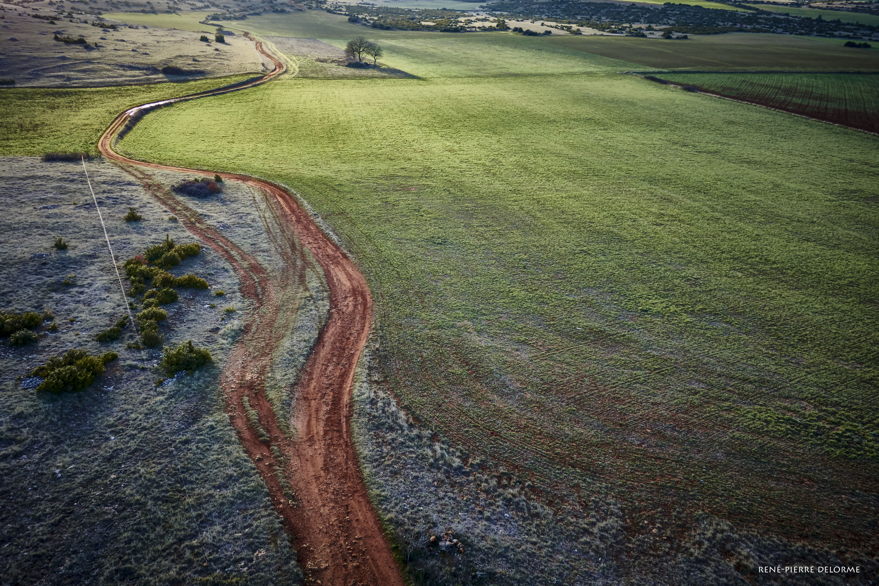 René-Pierre Delorme, photographe - 