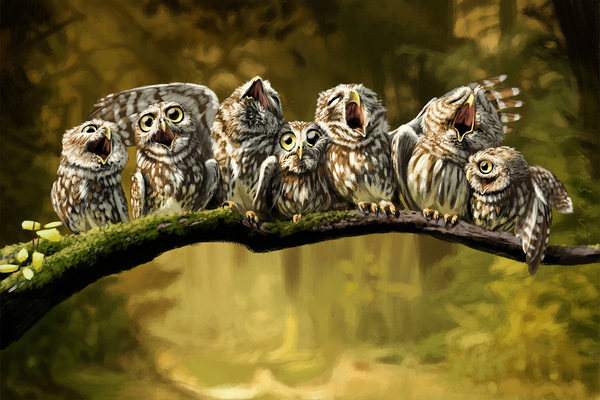 SAMSON - Owly Shit!