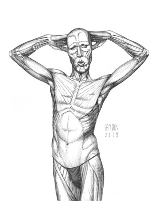 SAMSON - Anatomical Study