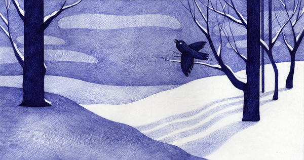 Camille Nicolazzi Illustratrice - 