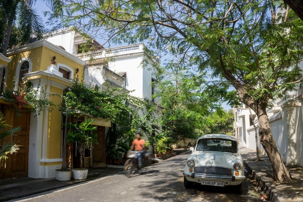 Leyla Kazim | Photography - Pondicherry - India