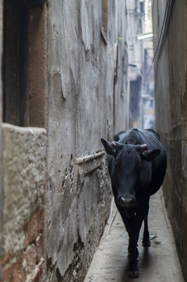 Leyla Kazim | Photography - Varanasi - India