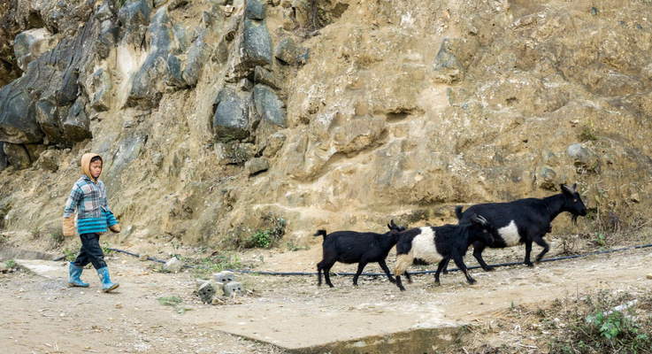 Leyla Kazim | Photography - Sapa - Vietnam