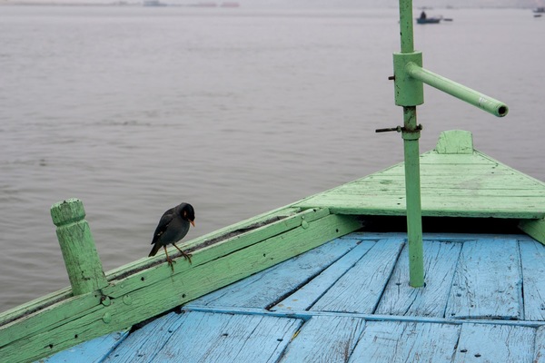 Leyla Kazim | Photography - Varanasi - India