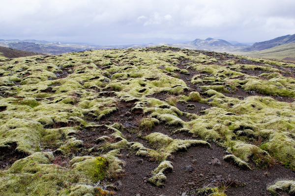 Leyla Kazim | Photography - Innstidalur Hengill - Iceland
