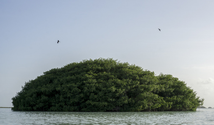 Leyla Kazim | Photography - Tulum - Mexico