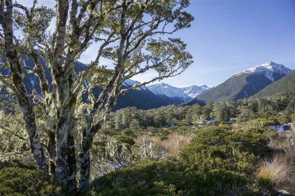 Leyla Kazim | Photography - Lewis Pass, Southern Alps - New Zealand