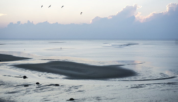 Leyla Kazim | Photography - Cape Cod, MA - USA