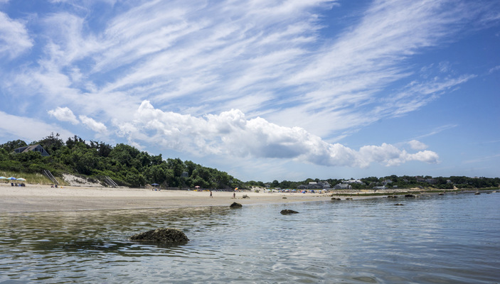 Leyla Kazim | Photography - Cape Cod, MA - USA