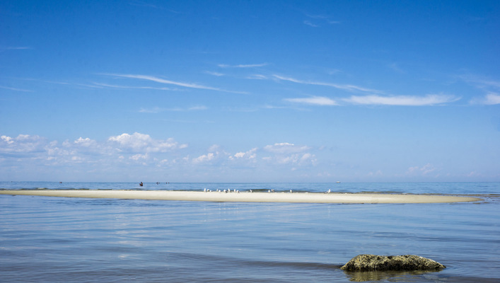 Leyla Kazim | Photography - Cape Cod, MA - USA