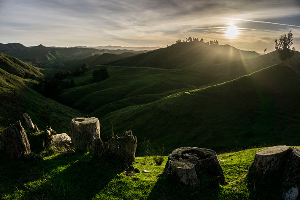 Leyla Kazim | Photography - New Zealand