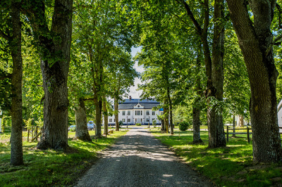 MATILDA ENGDAHL - 