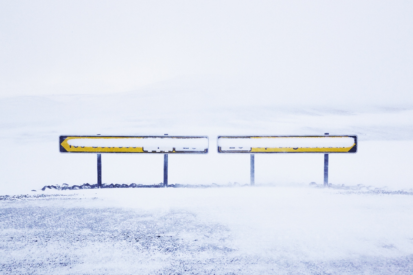 Tanja Mersmann Fotografin - 