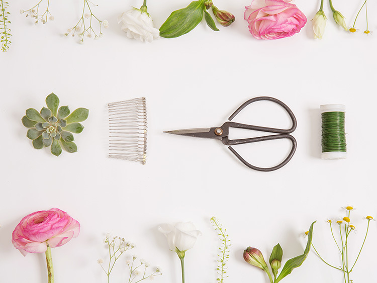 Tanja Mersmann Fotografin - 