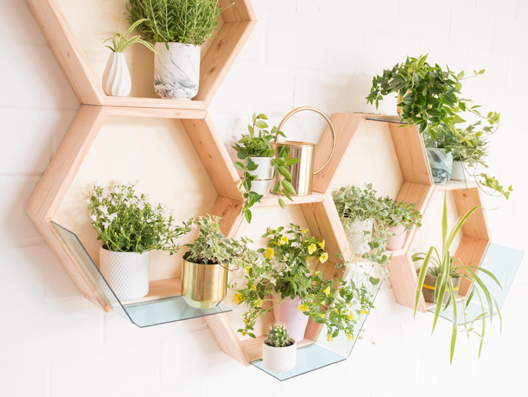 Tanja Mersmann Fotografin - 