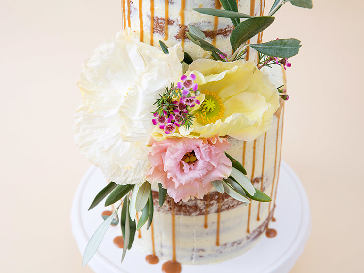 Tanja Mersmann Fotografin - 