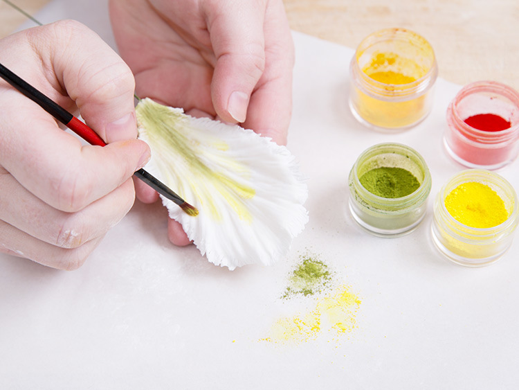 Tanja Mersmann Fotografin - 