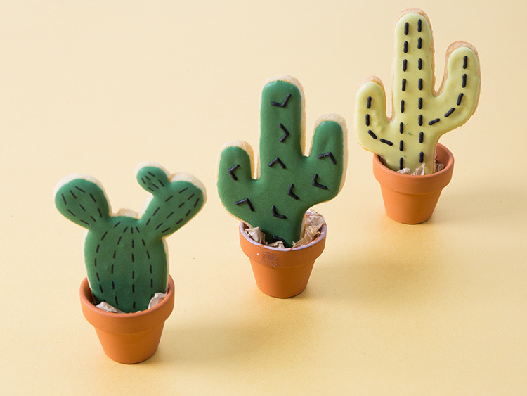 Tanja Mersmann Fotografin - 