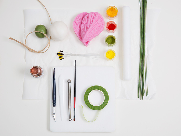 Tanja Mersmann Fotografin - 