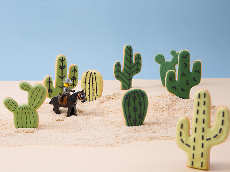 Tanja Mersmann Fotografin - 