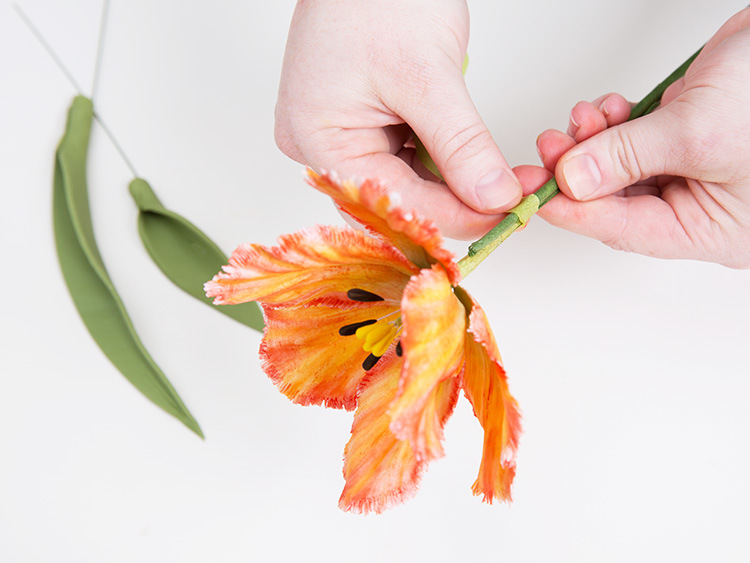 Tanja Mersmann Fotografin - 