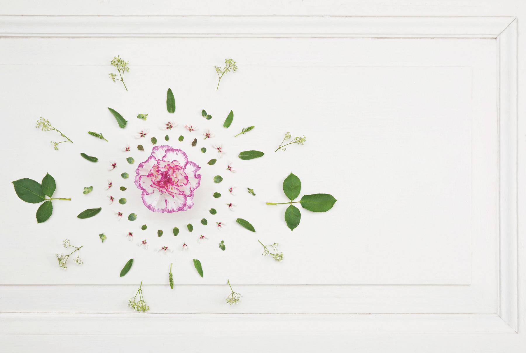 Tanja Mersmann Fotografin - 