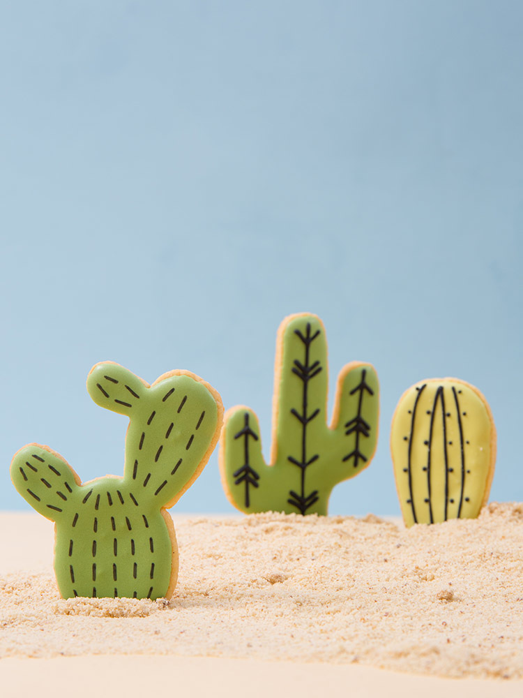 Tanja Mersmann Fotografin - 