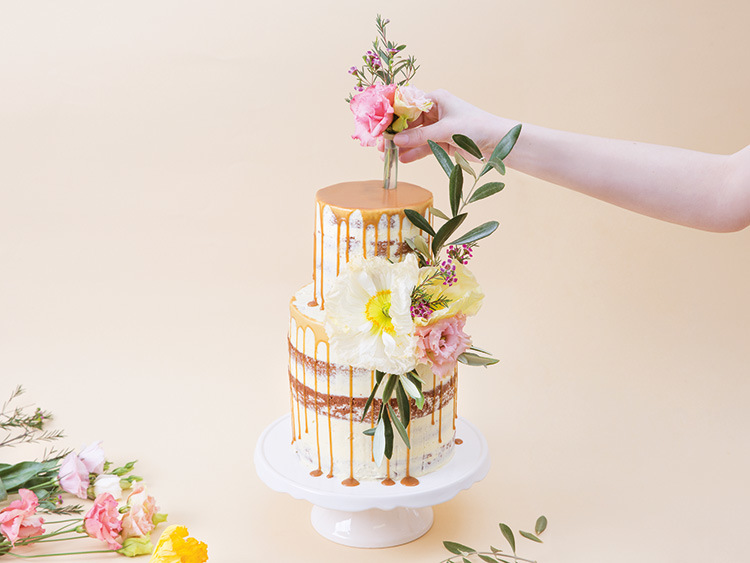 Tanja Mersmann Fotografin - 