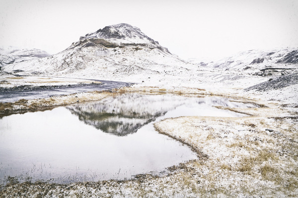 Tanja Mersmann Fotografin - 