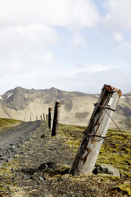 Tanja Mersmann Fotografin - 