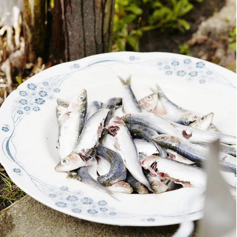 Tanja Mersmann Fotografin - 