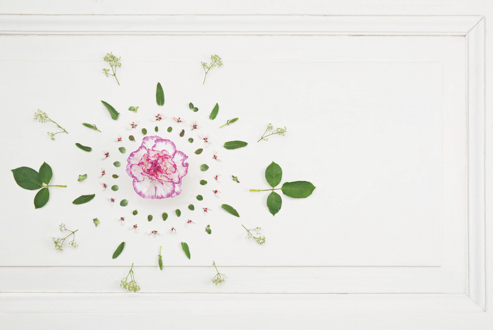 Tanja Mersmann Fotografin - 