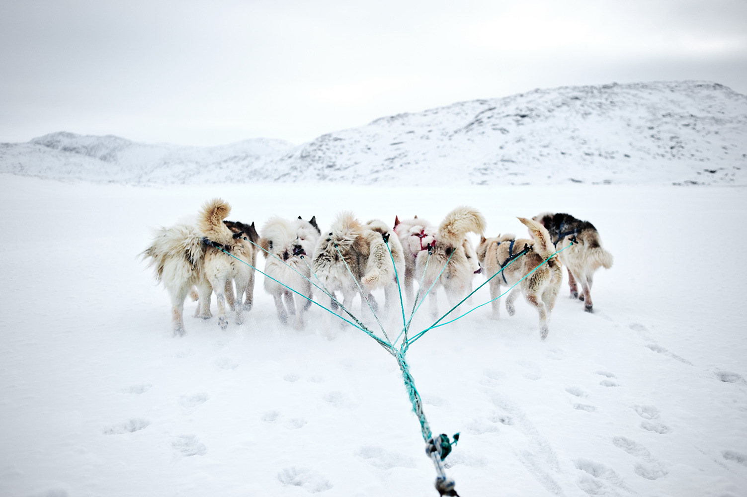 Mareike Timm | Photo Journalist -