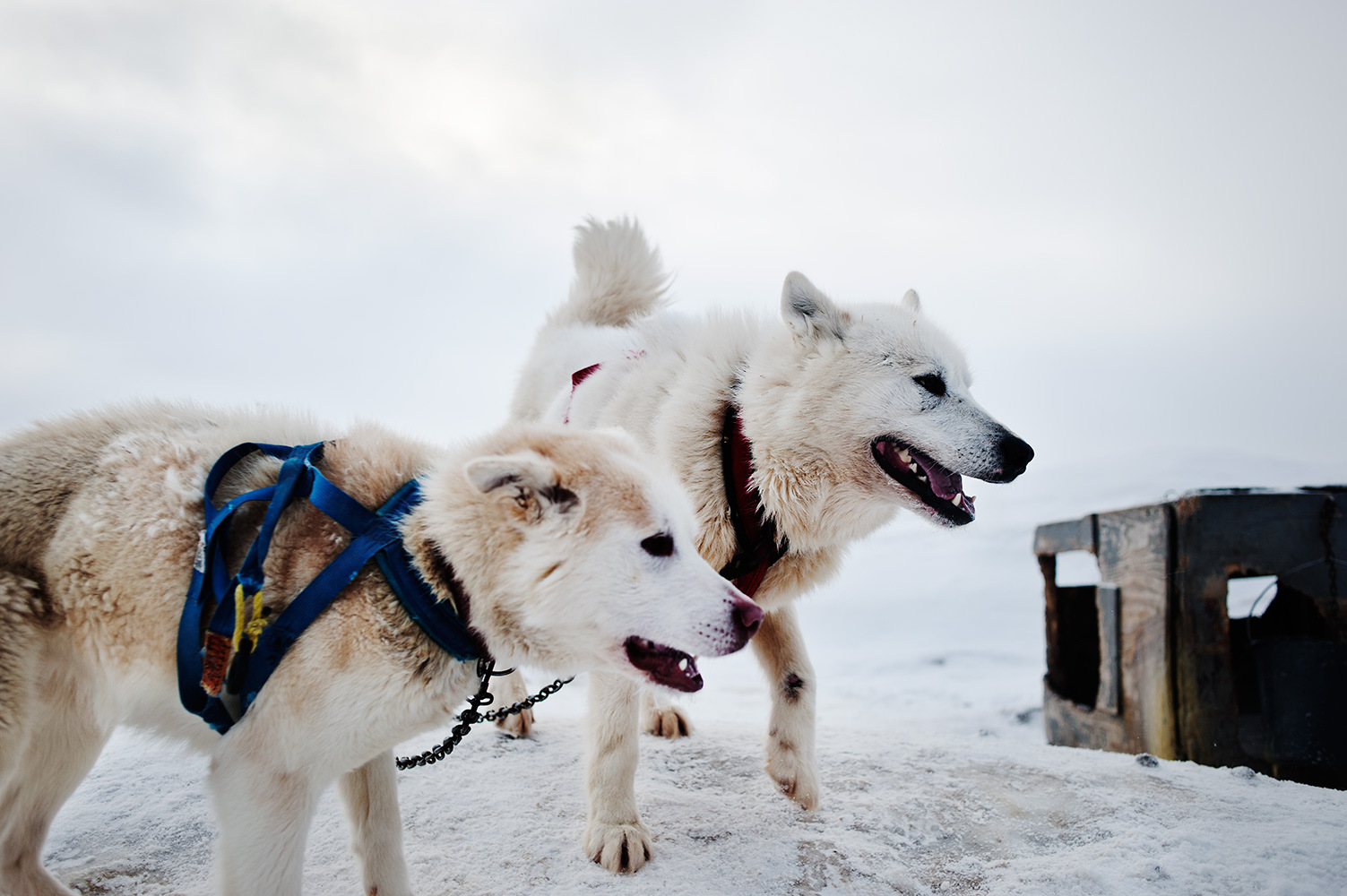 Mareike Timm | Photo Journalist -
