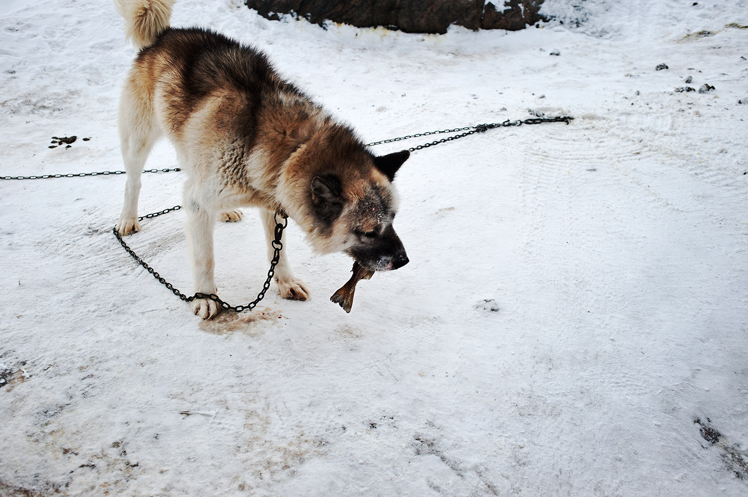 Mareike Timm | Photo Journalist -