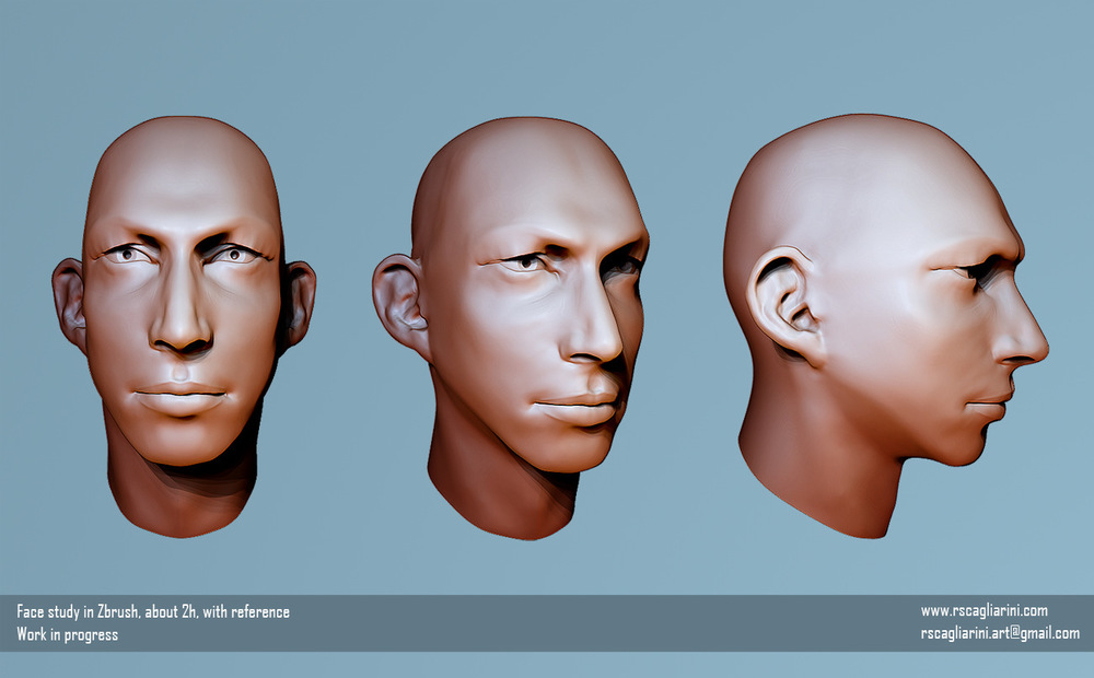 Romina Scagliarini - Face study (Adam Driver) sketch in Zbrush work in progress