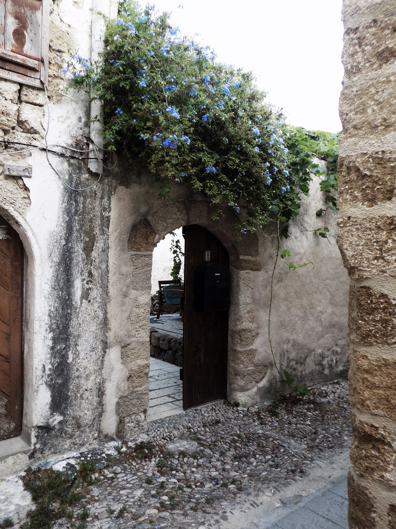 studio svart ateljé vit - Plumbago in the alley in Rhodes