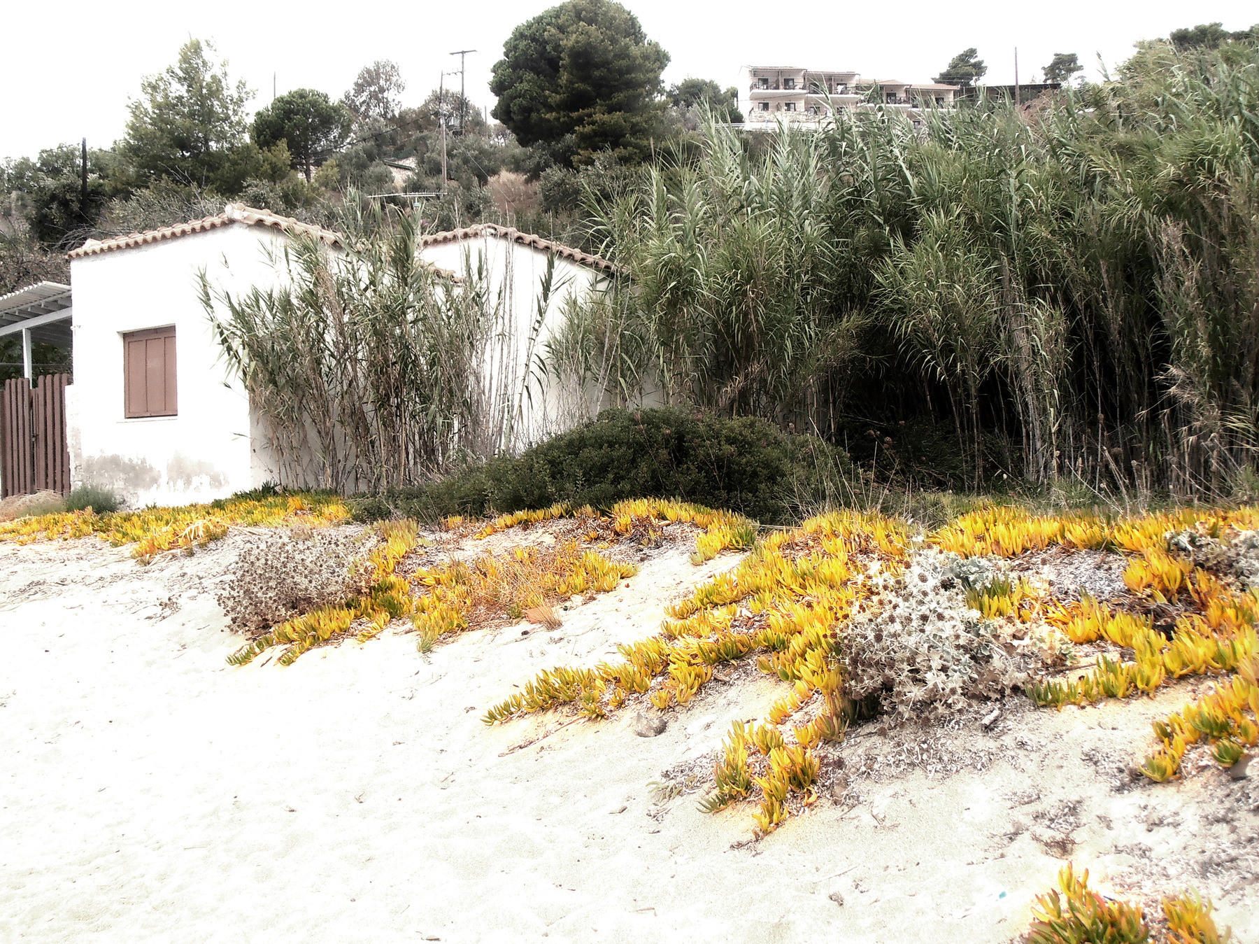 studio svart ateljé vit - Beach cottages