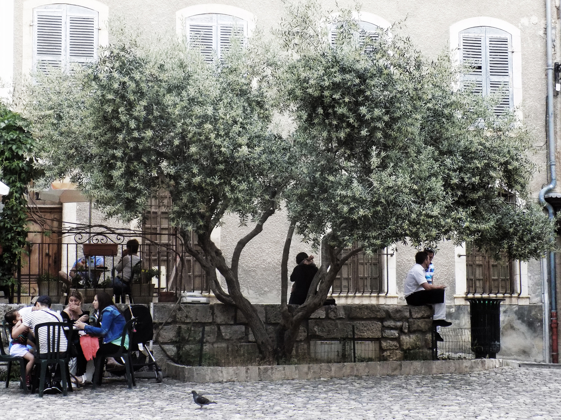 studio svart ateljé vit - Olive tree on the village square
