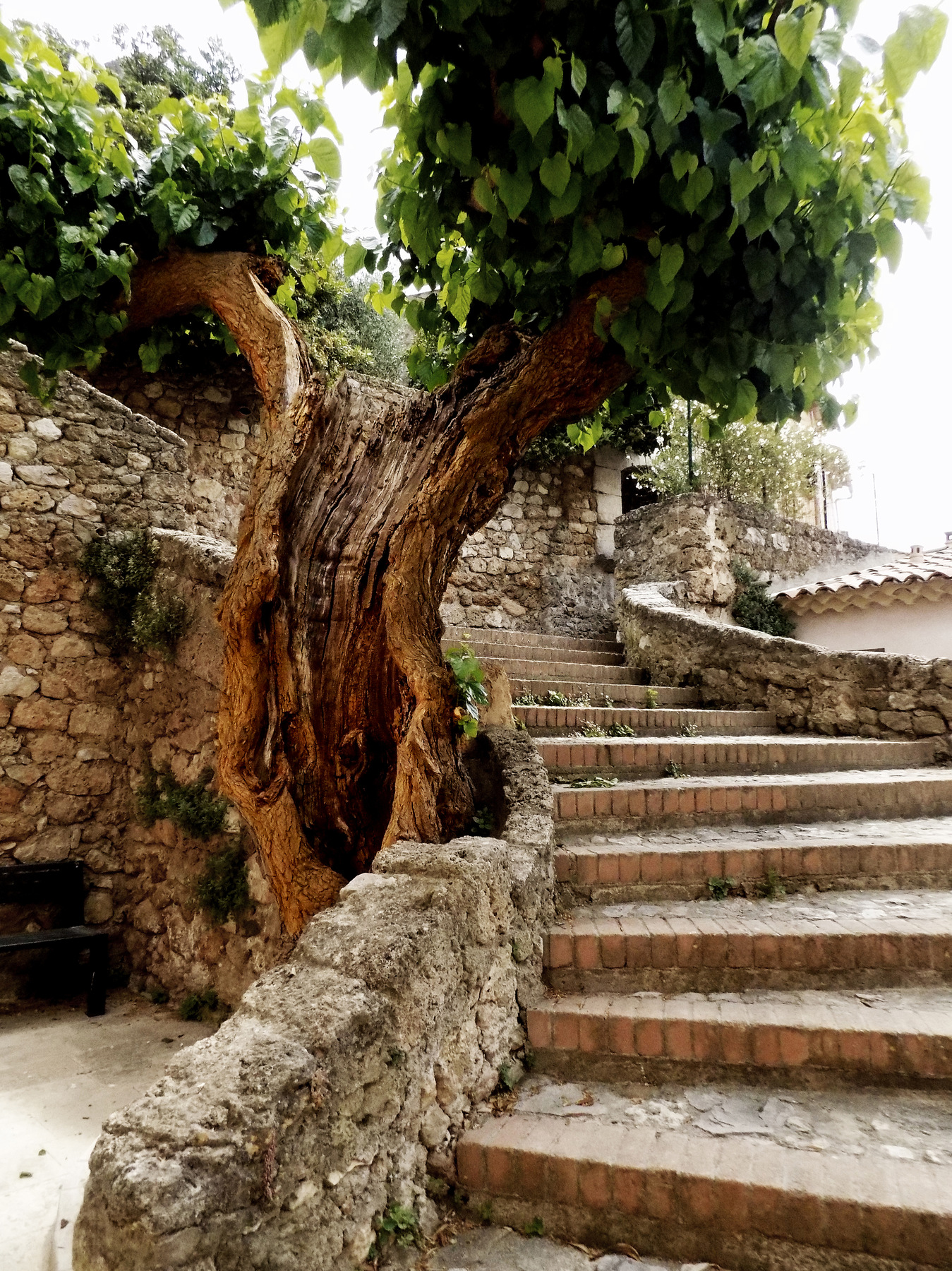 studio svart ateljé vit - Broken tree at the staircase