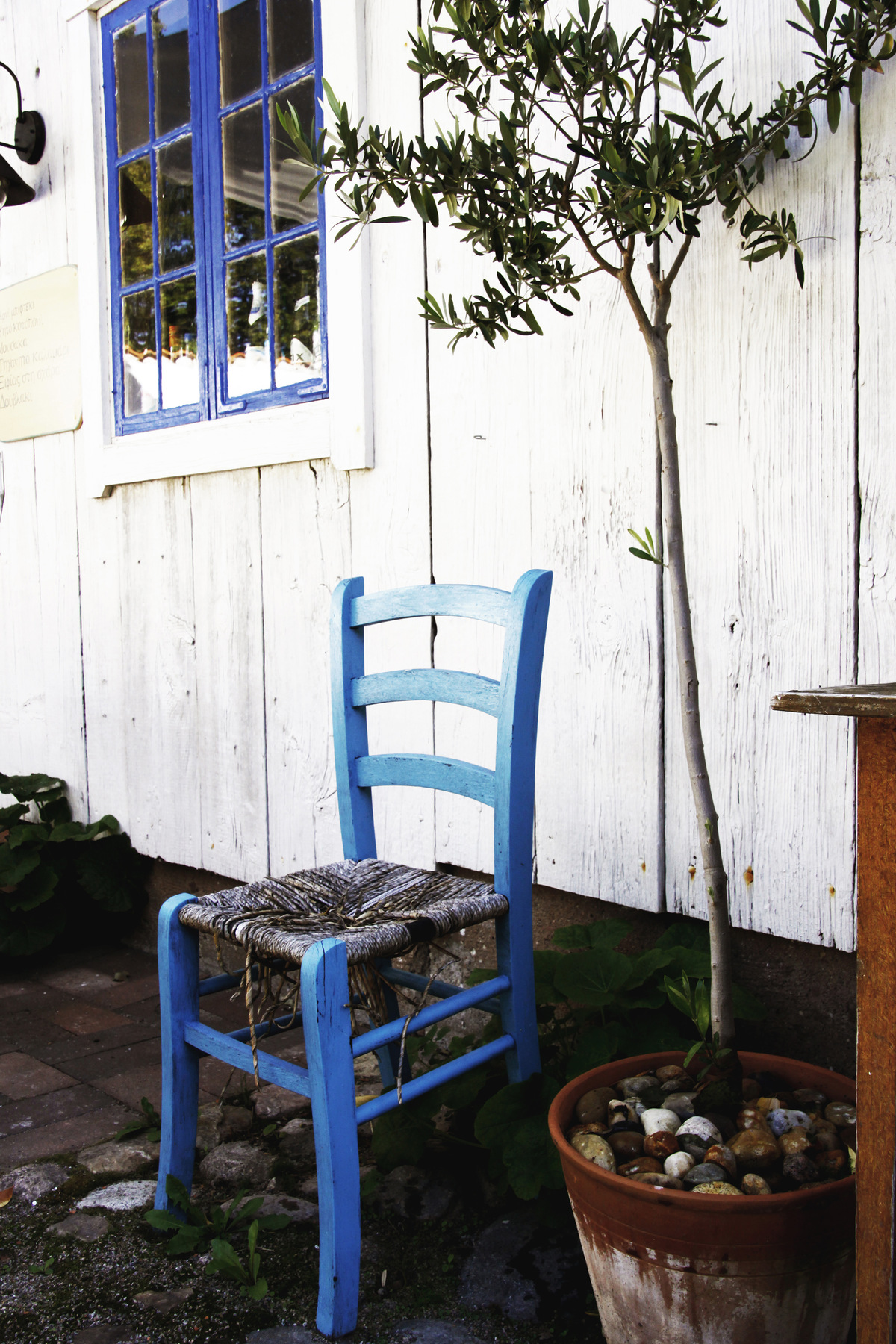 studio svart ateljé vit - Blue chair and olive in terracotta pot