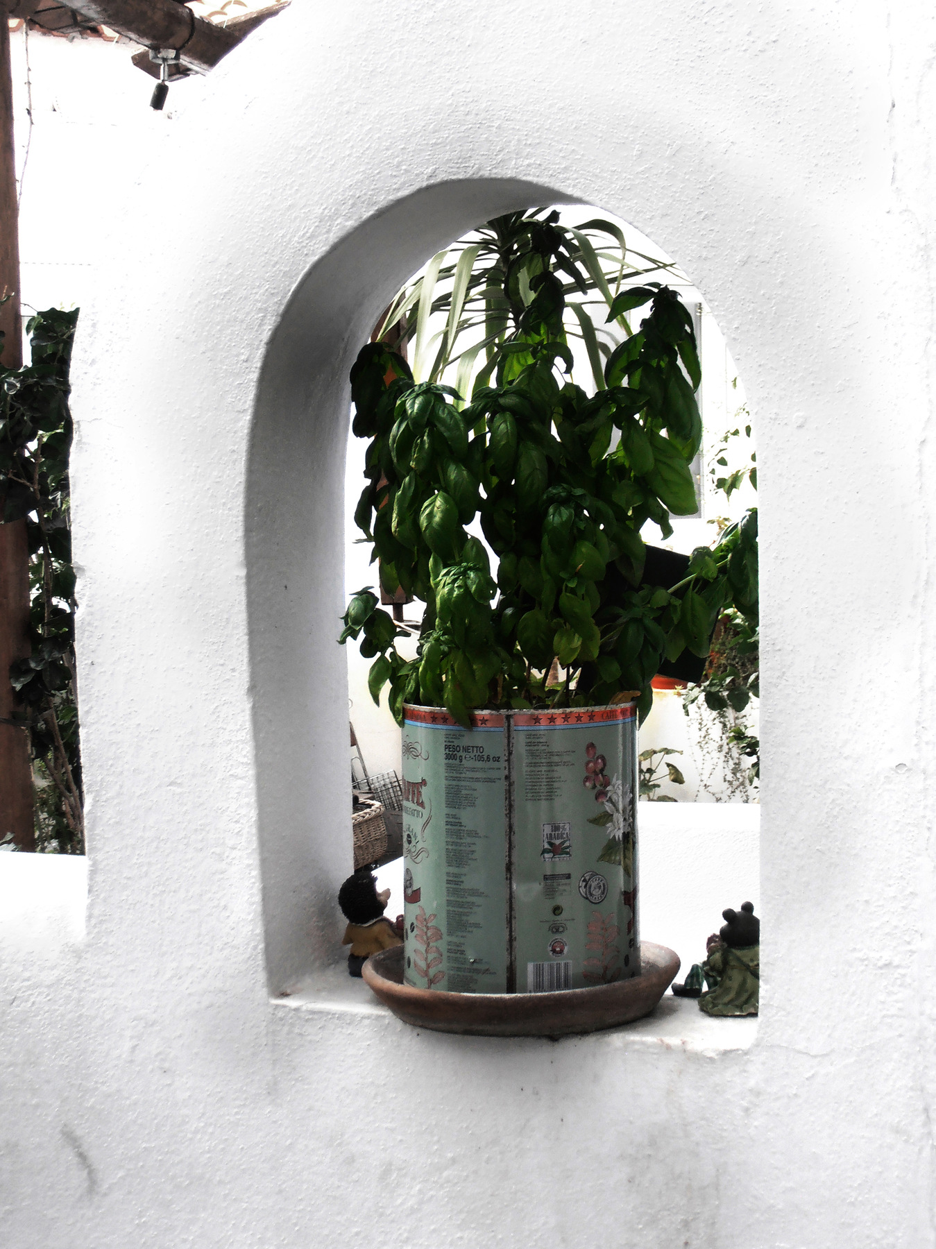 studio svart ateljé vit - Basil in a tin