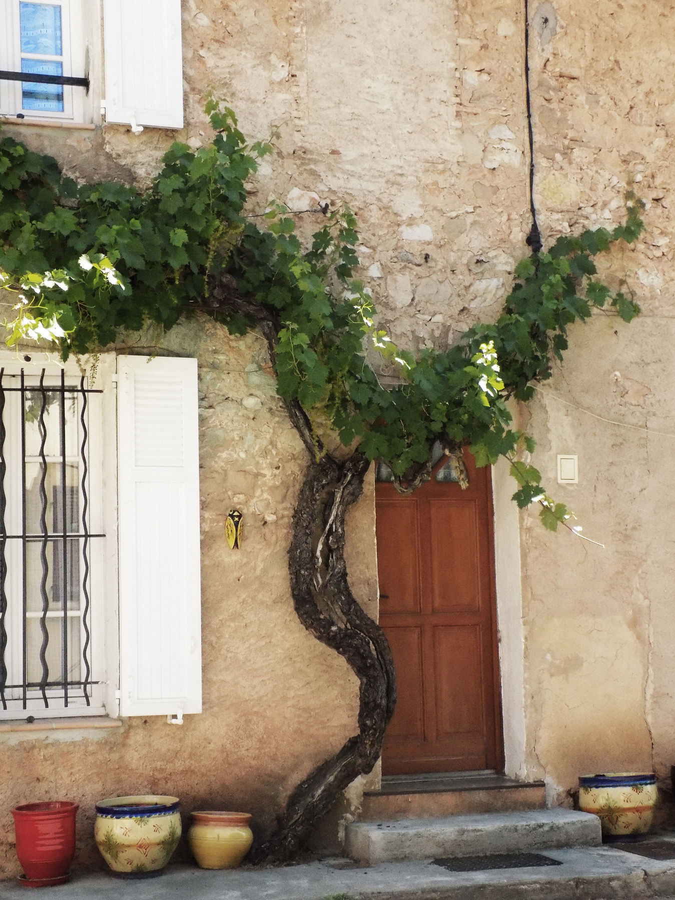 studio svart ateljé vit - Grapevine in France
