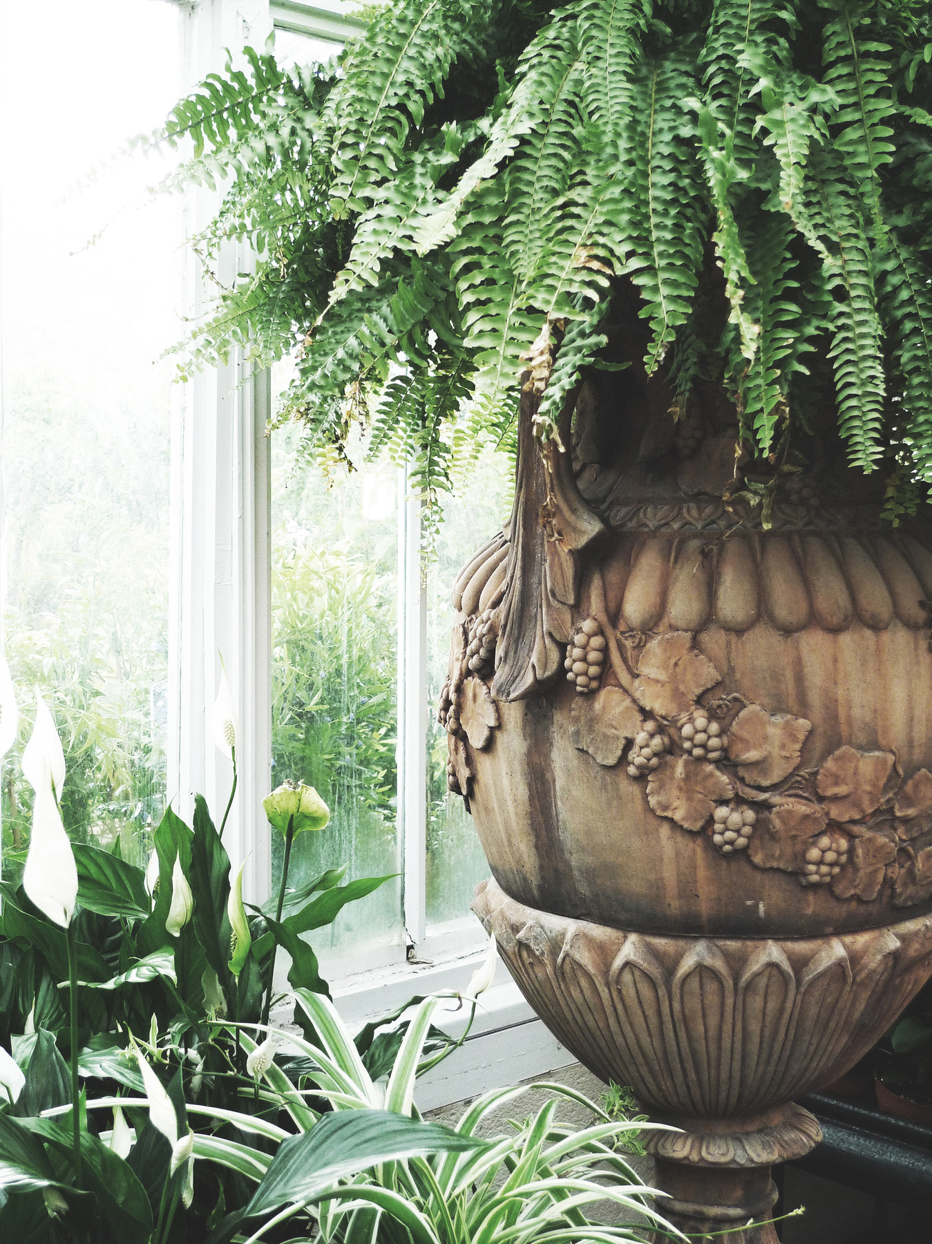 studio svart ateljé vit - Fern in urn