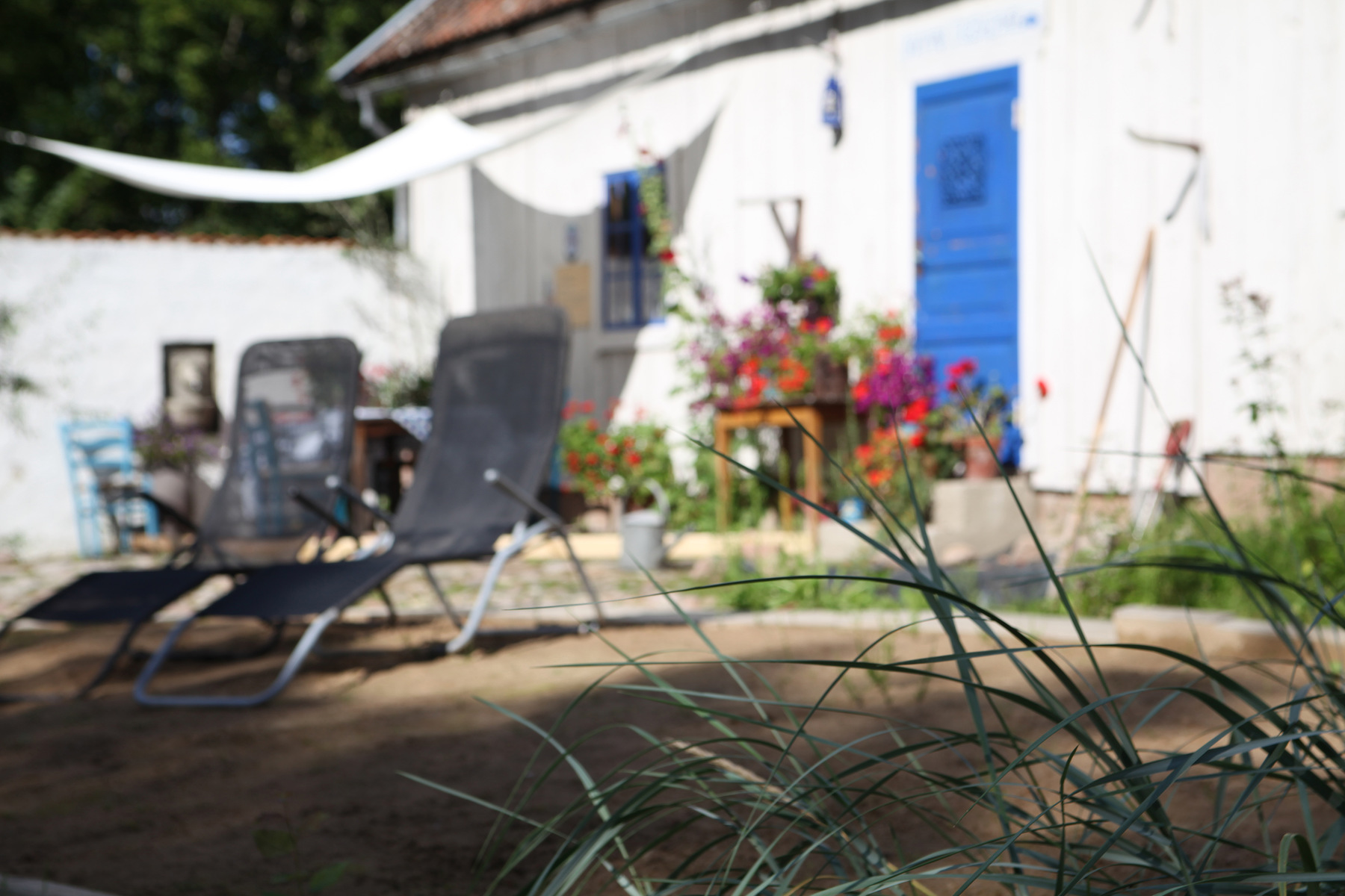 studio svart ateljé vit - Lyme grass front patio
