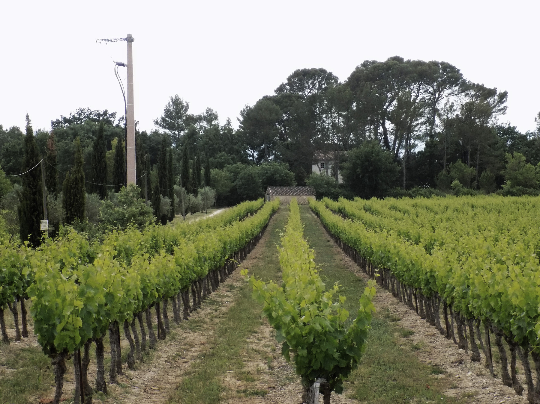 studio svart ateljé vit - Vineyard