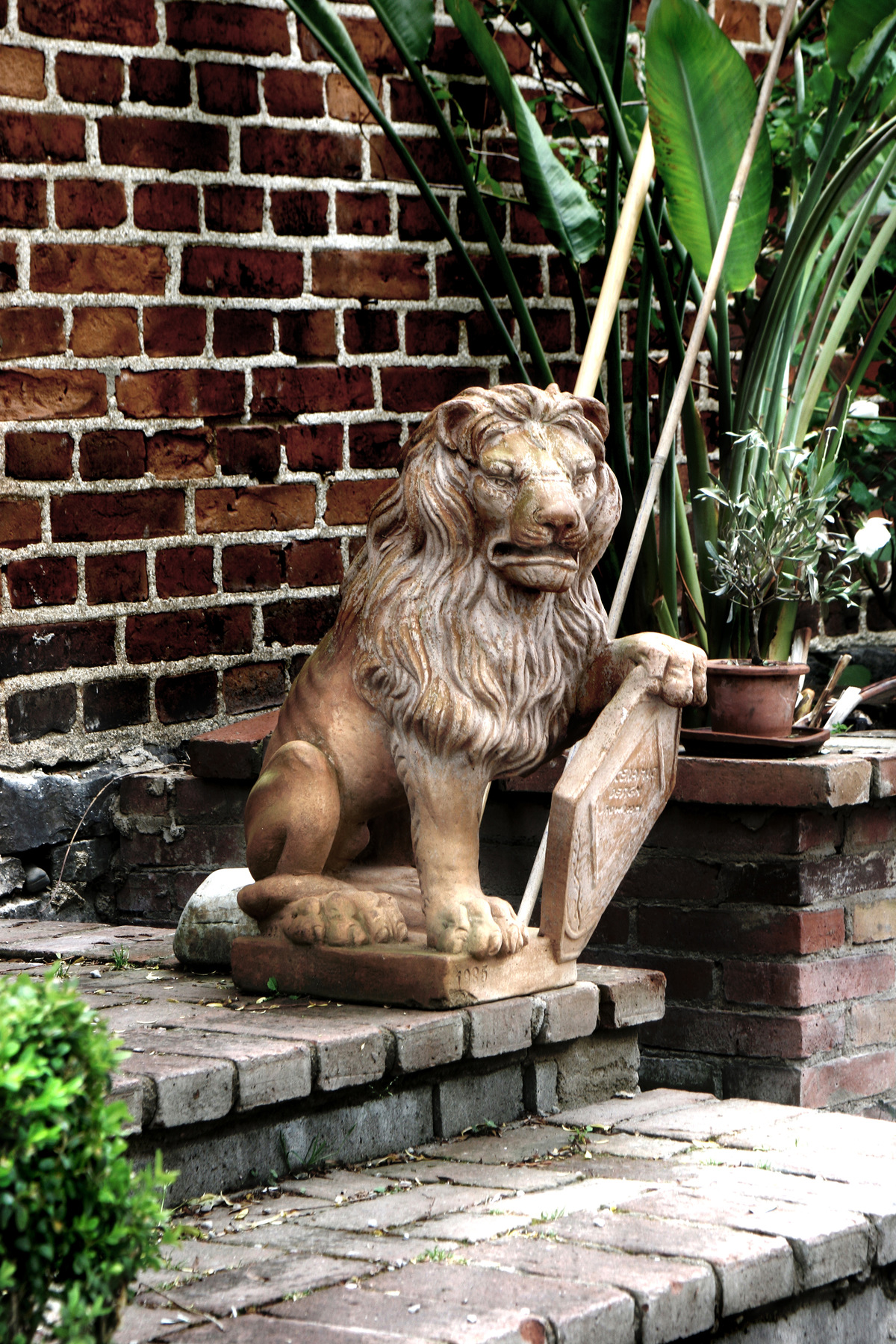 studio svart ateljé vit - Terracotta Lion in the Pharmacist garden